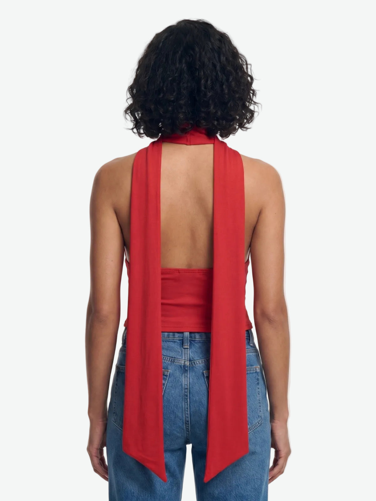 Scarf Neck Deep V Halter Crop Top